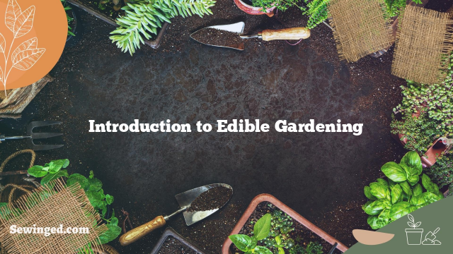 Introduction to Edible Gardening
