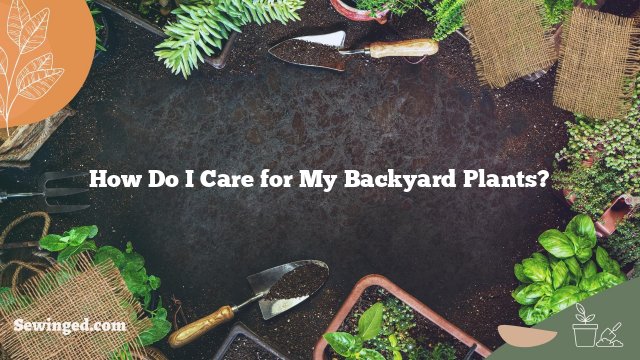 How Do I Care for My Backyard Plants?
