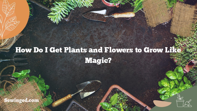 How Do I Get Plants and Flowers to Grow Like Magic?