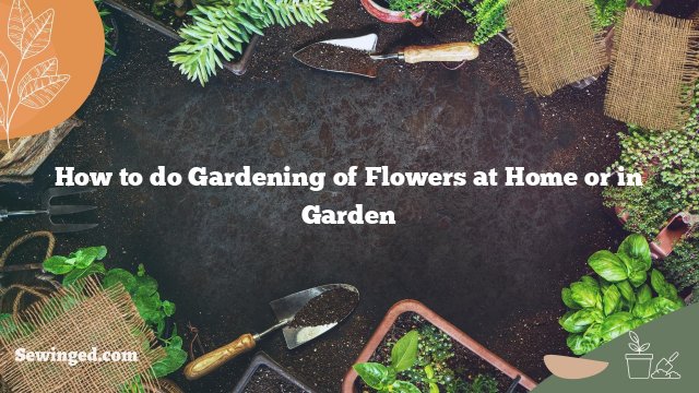 How to do Gardening of Flowers at Home or in Garden