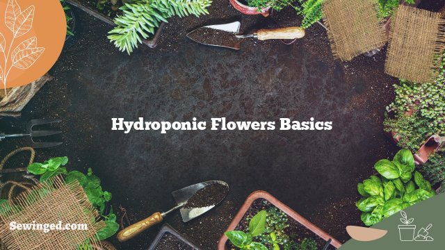 Hydroponic Flowers Basics