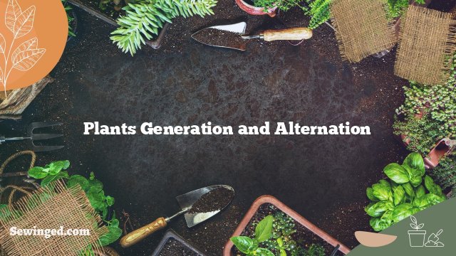 Plants Generation and Alternation