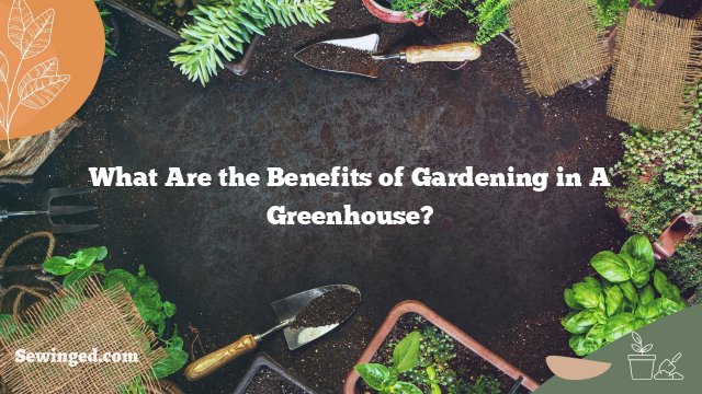 What Are the Benefits of Gardening in A Greenhouse?