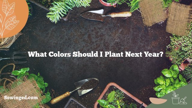 What Colors Should I Plant Next Year?