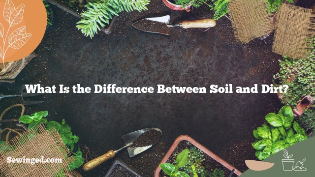 What Is the Difference Between Soil and Dirt?
