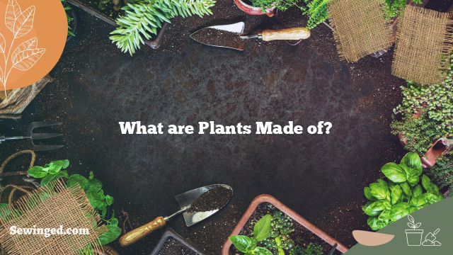 What are Plants Made of?